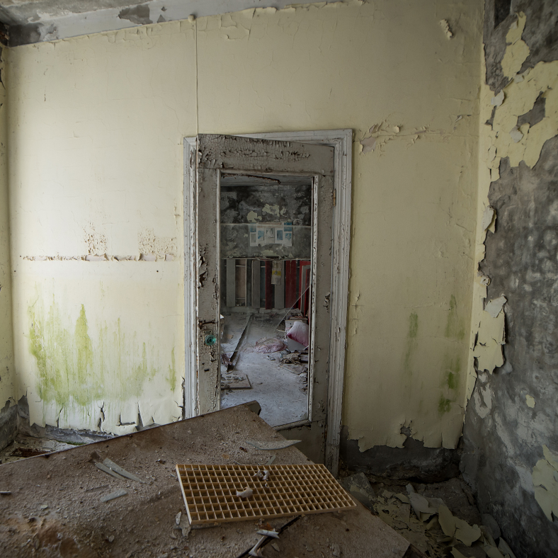We Buy Homes in Disrepair