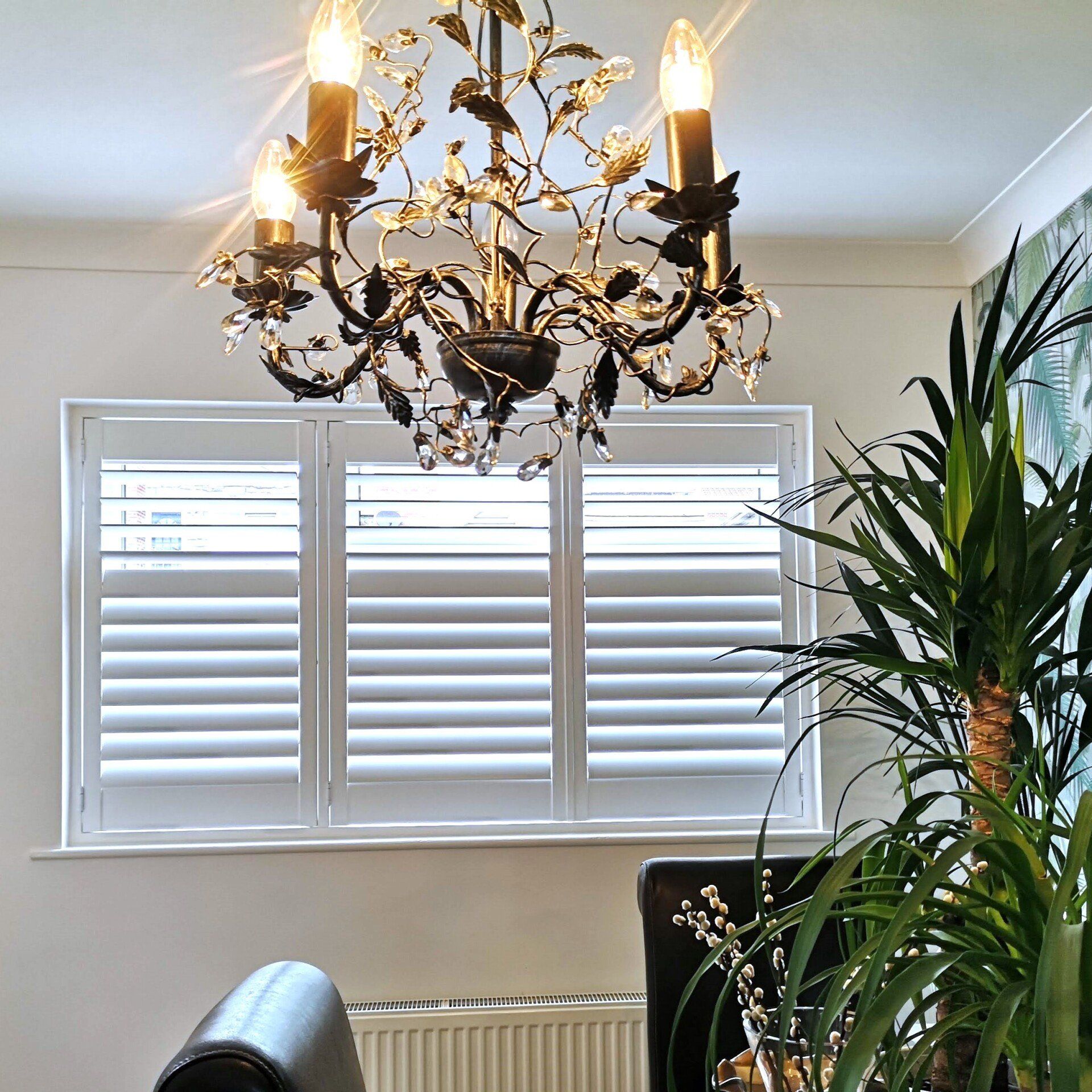 Full Height Shutters Full Height Shutters