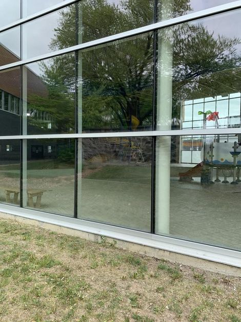 Un bâtiment avec beaucoup de fenêtres et un reflet d'arbres dans les fenêtres.
