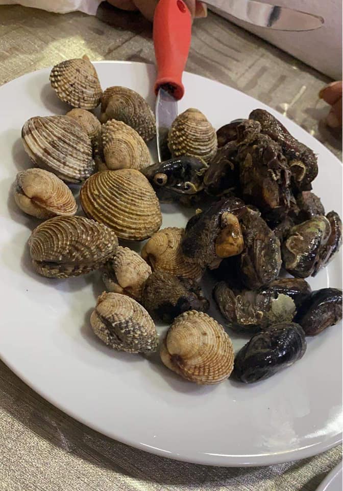 cozze