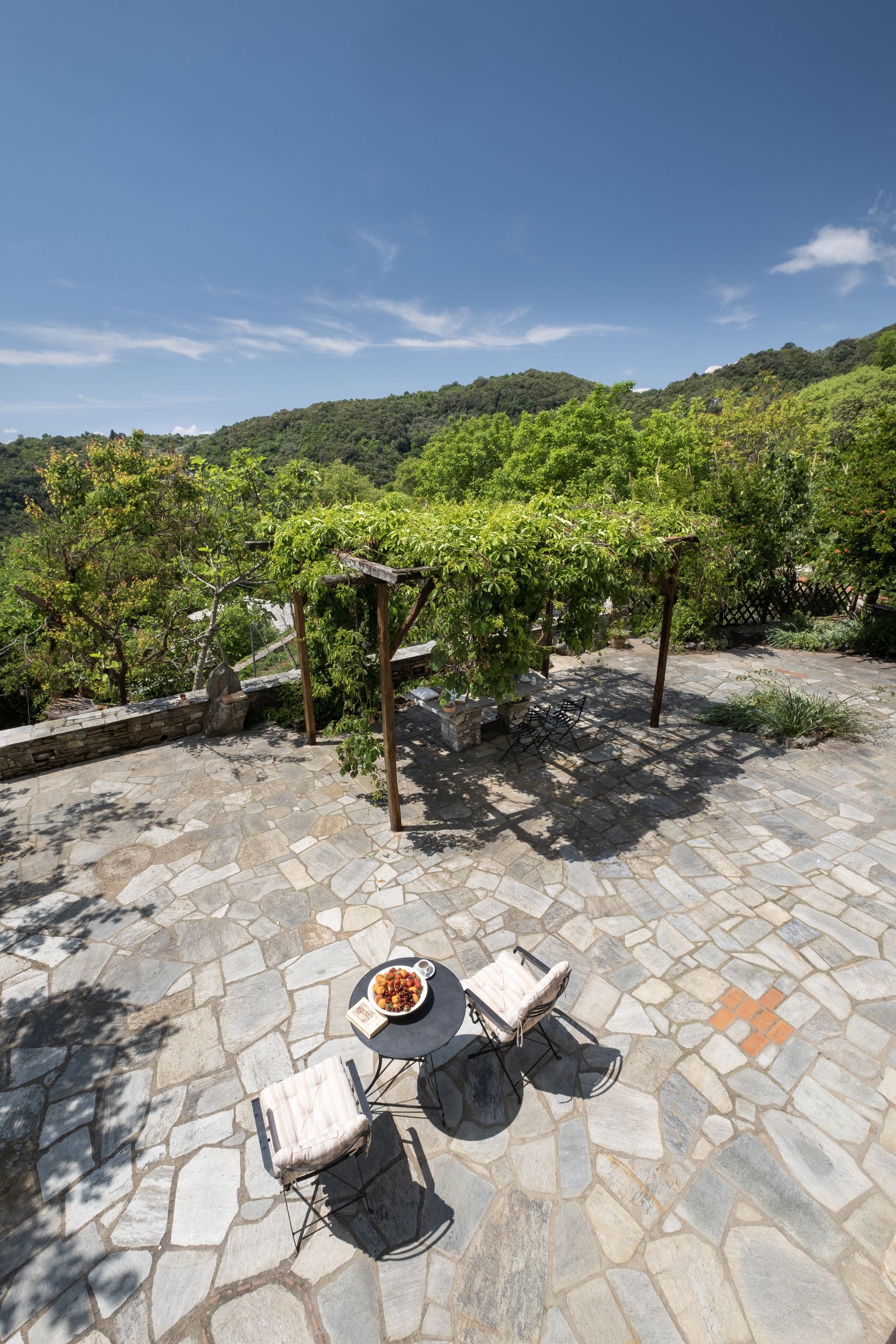 Stone patio with table and chairs under a vine-covered trellis, overlooking a wooded landscape.