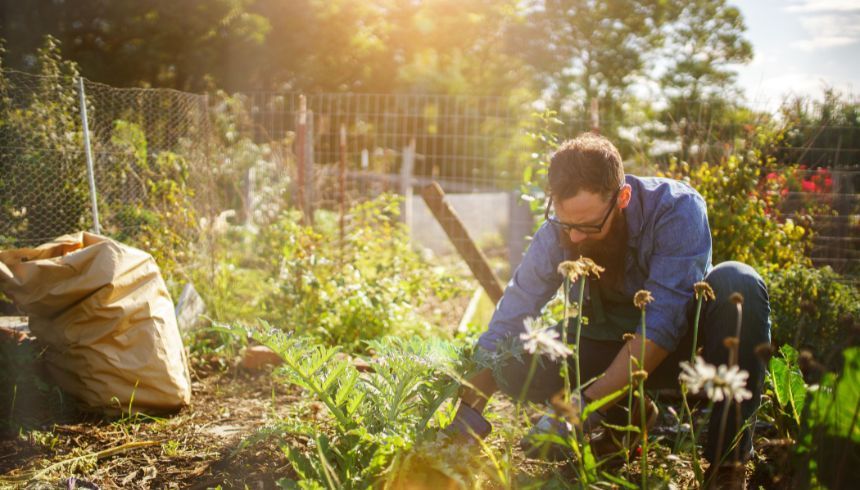 Landscaping Tips for Winter in Southern California