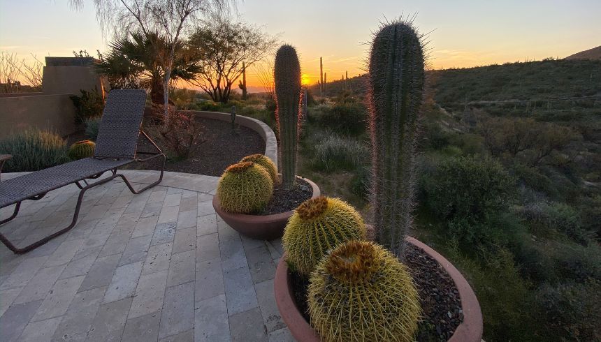 Tips for Drought-Proofing Your SoCal Landscaping
