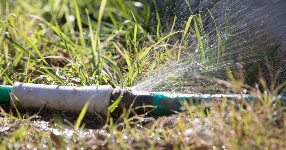 A leaking garden hose, surrounded by wet soil and green grass, sprays sun-illuminated water upward.
