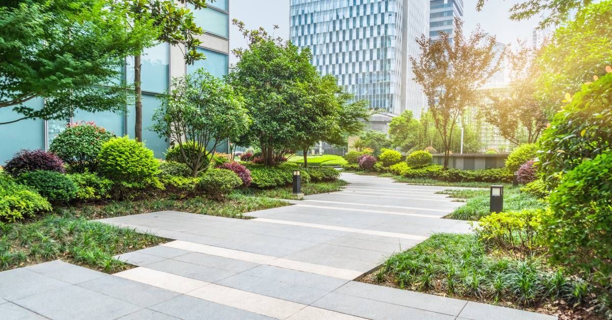 An outdoor path of a commercial building containing landscaping elements like various plants, trees, and colors.