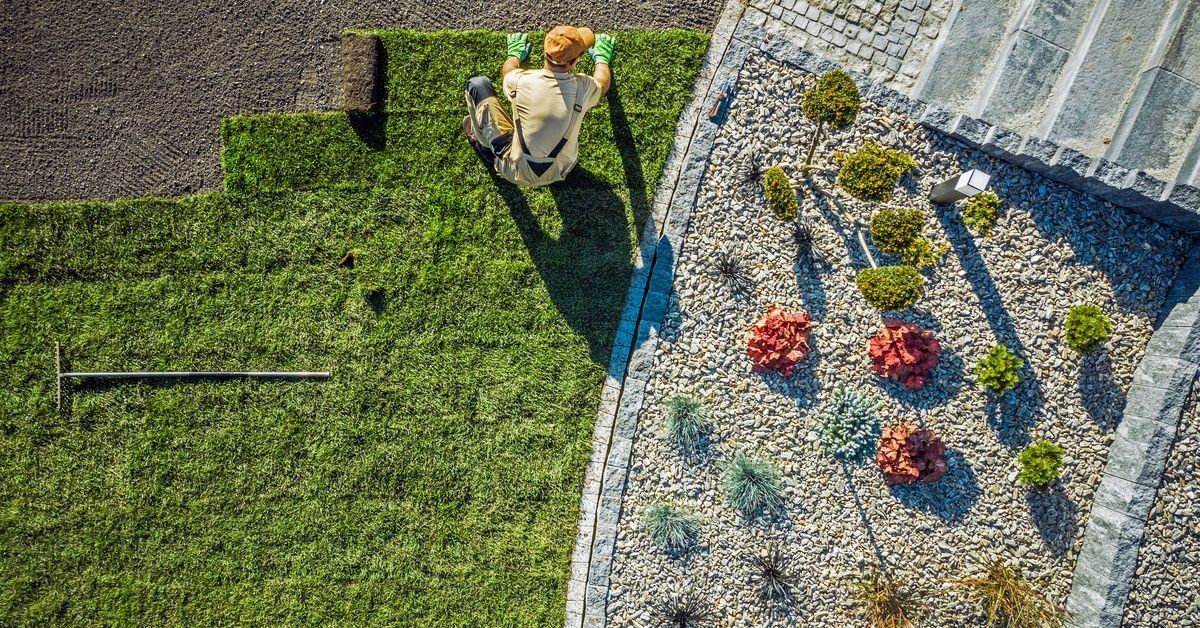 A professional landscape contractor laying sod down in a front yard next to a xeriscape area full of rocks and brick.