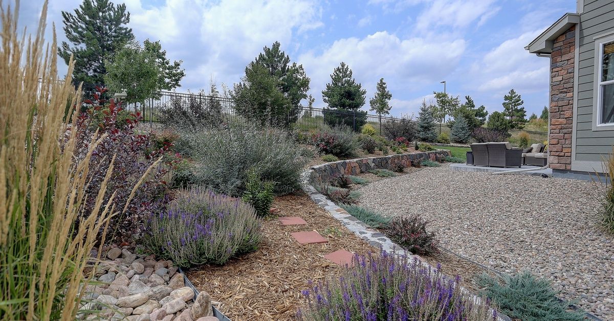 The backyard of a California home with beautiful hardscape and drought-tolerant landscaping. There's