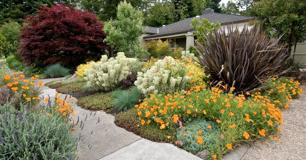 A beautiful Southern California home tucked behind a front yard with native plants and flowers. The sidewalk is cleared.