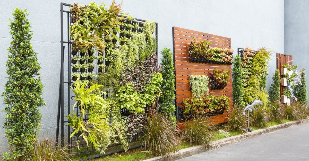 A white building exterior wall next to a parking lot with multiple rack systems used as vertical gardens, holding greenery.