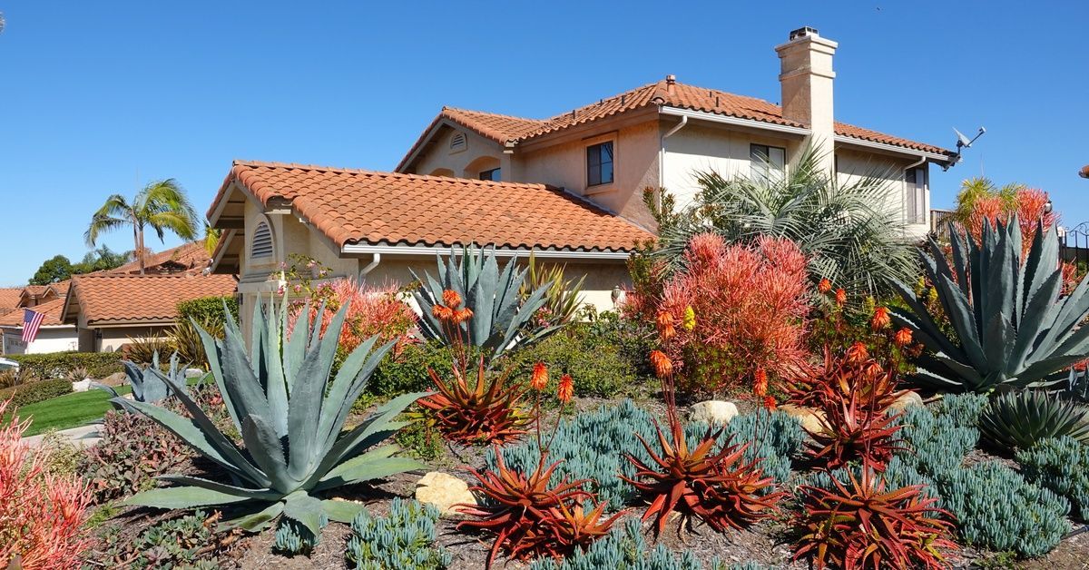 A beautiful Southern California home with xeriscaping outside near the property's curb. It's a sunny day outside.