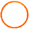 Orange outlined circle on a white background