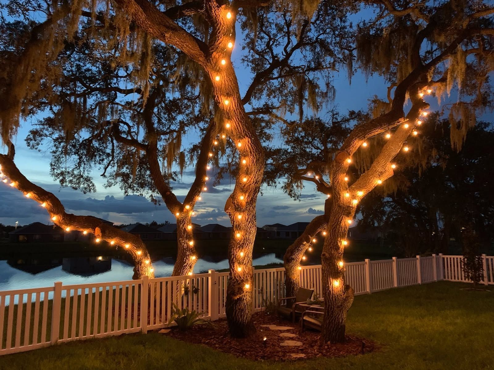 Trees wrapped in warm string lights by a lakeside deck at dusk