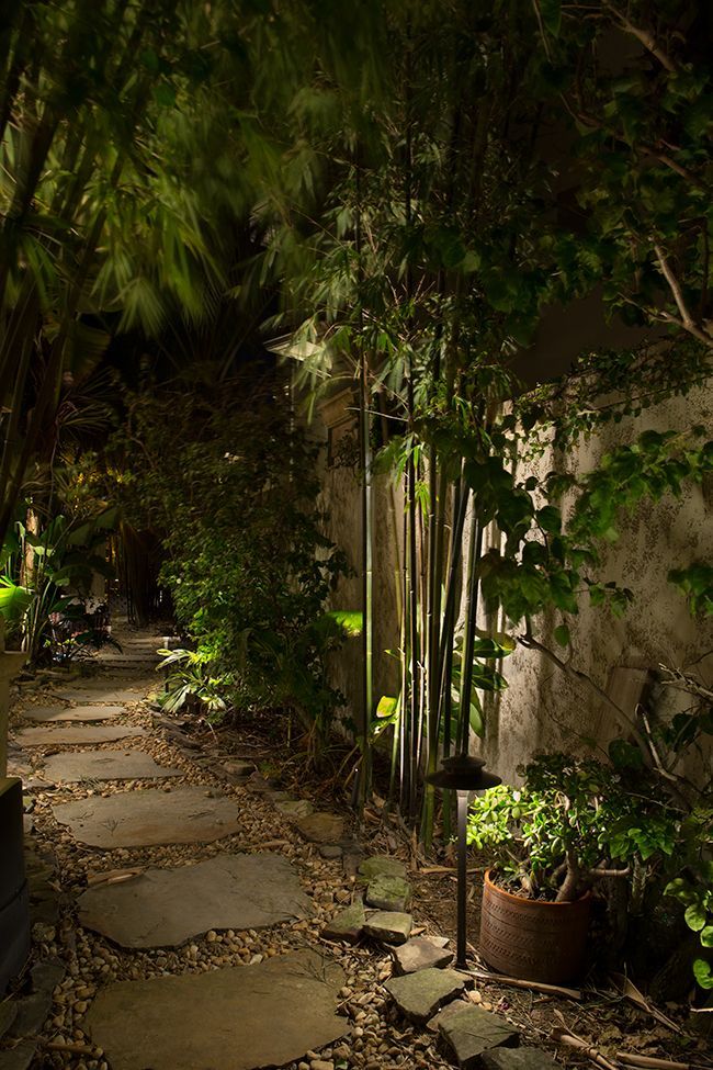 Narrow stone path under dense greenery beside a white wall and potted plants at dusk