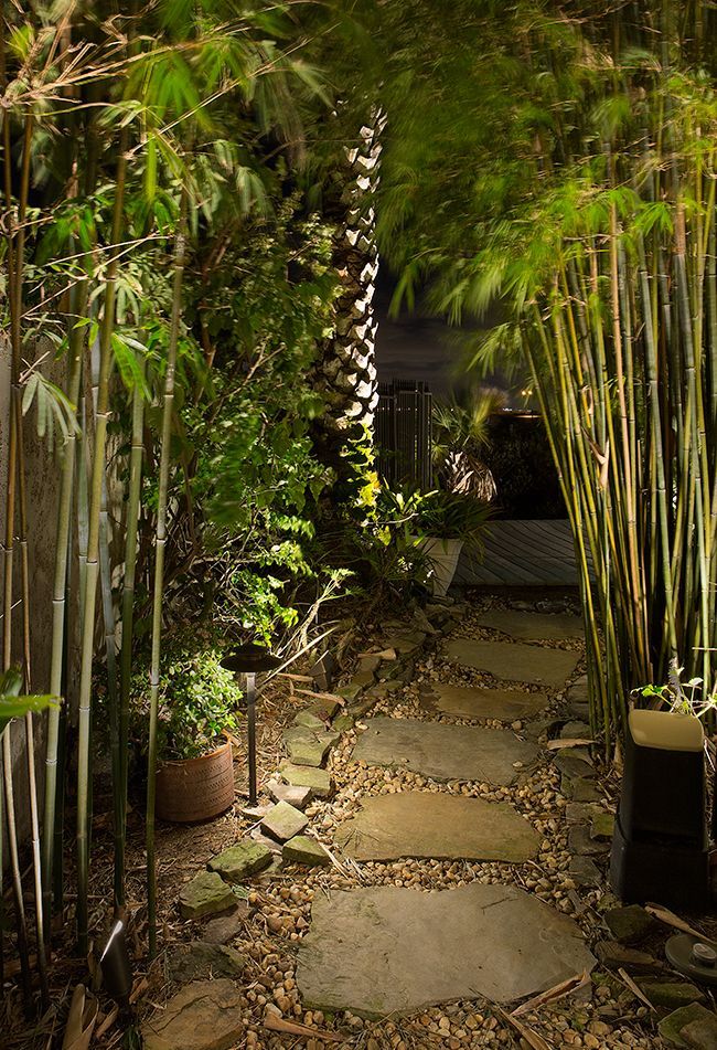Narrow stone path through lush tropical plants leading to a dimly lit doorway at night