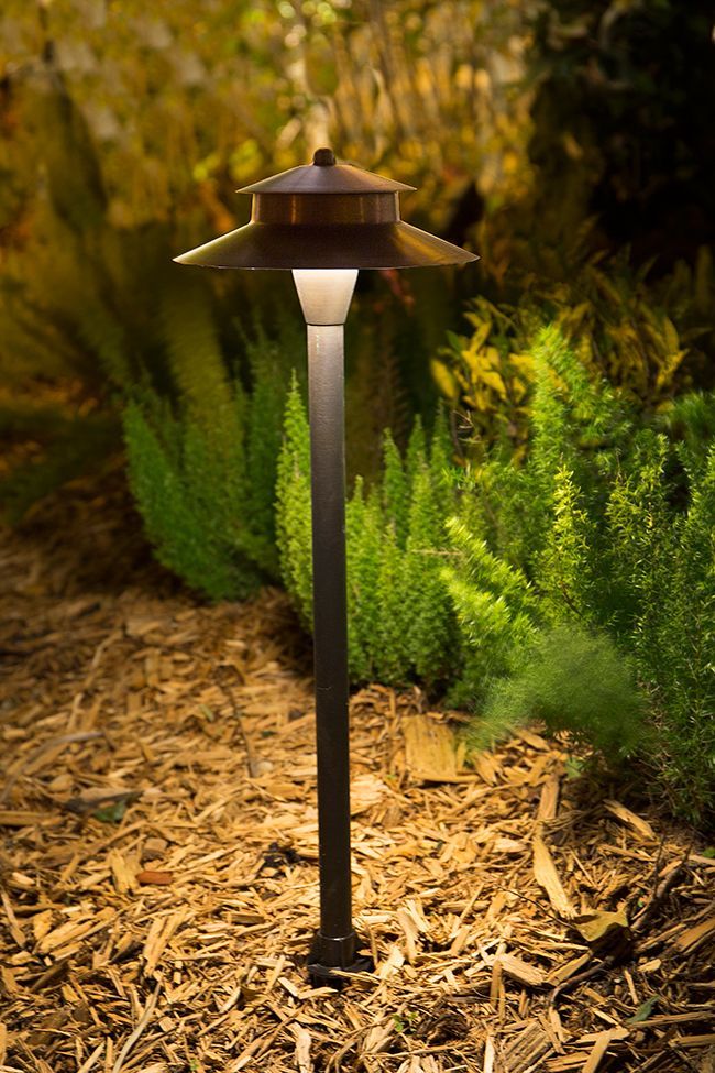 Solar garden path light glowing beside green shrubs and mulch at night