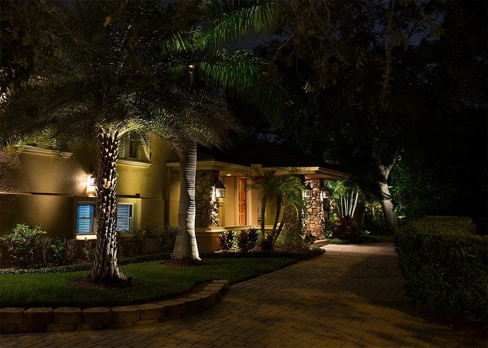Nighttime view of a warmly lit house with palm trees and a curved driveway.