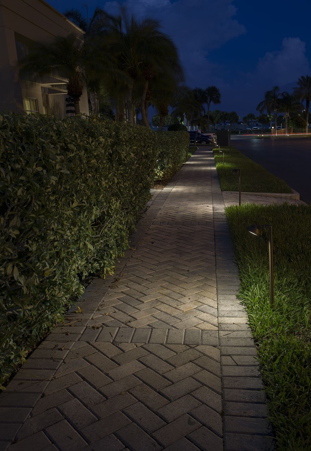 Nighttime sidewalk beside hedges and palm trees, lit by path lights near a quiet street.