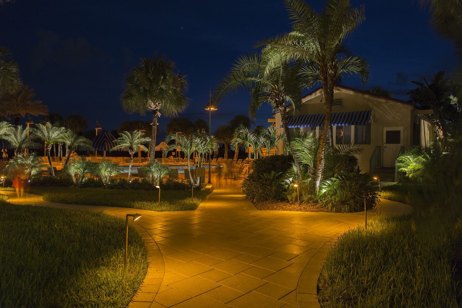 Night-lit tropical garden path with palm trees, glowing yellow lights, and a house in the background