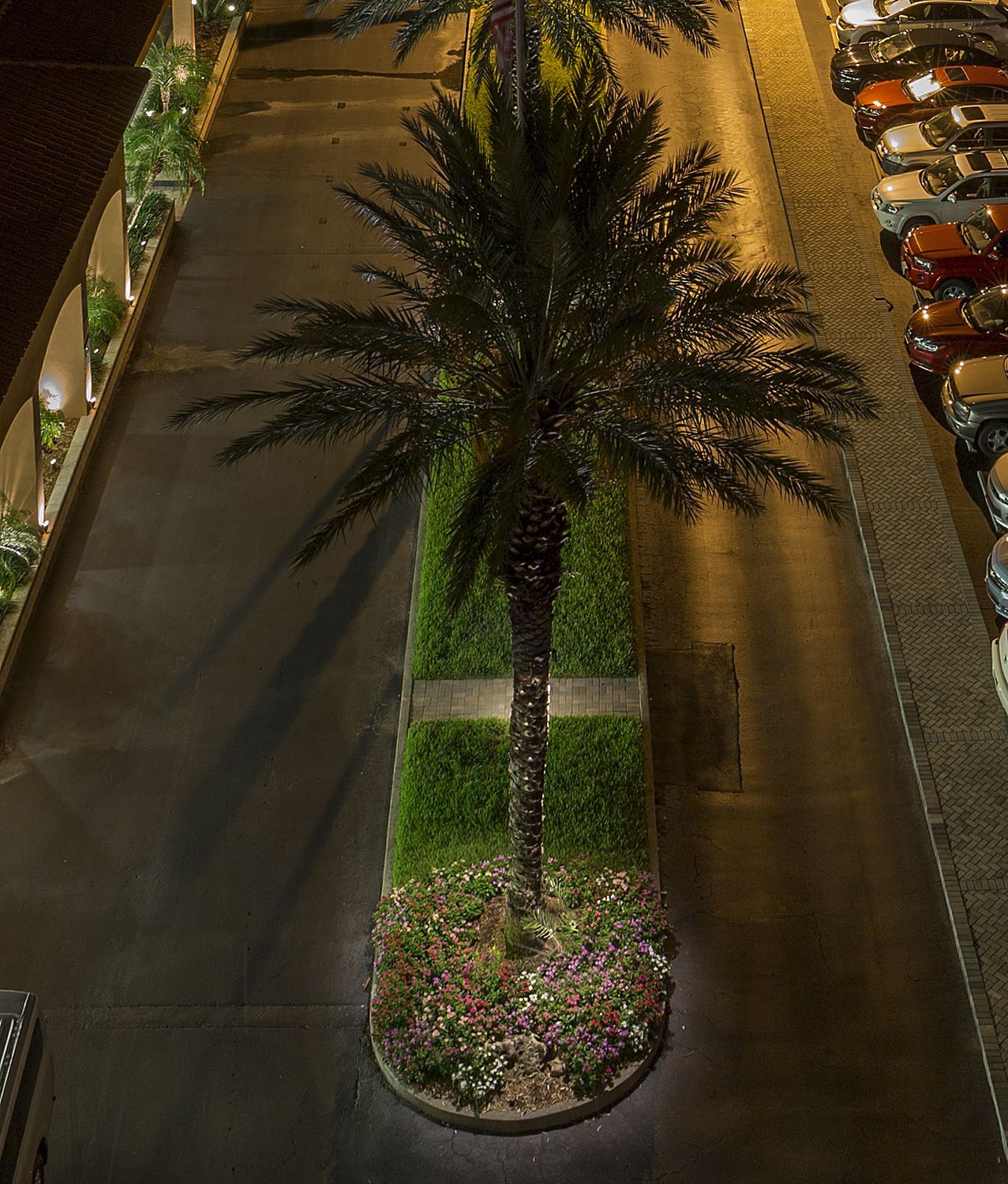 Nighttime view of a palm tree-lined roadway with parked cars on both sides and landscaped median strips