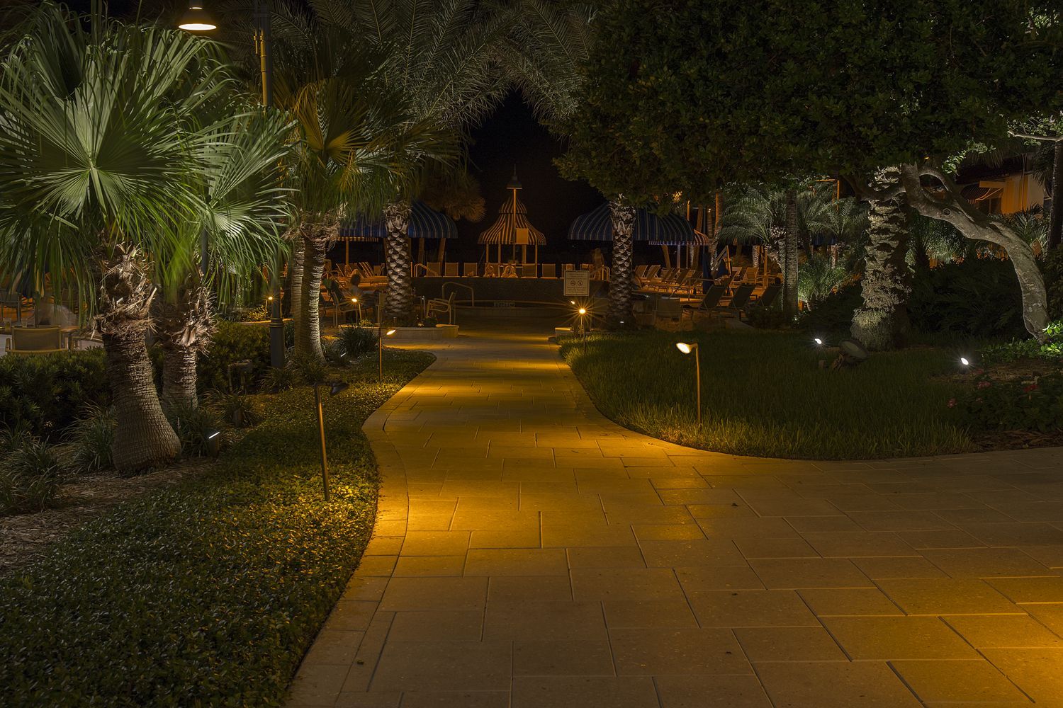 Illuminated garden path at night, lined with palm trees and shrubs leading toward a distant building