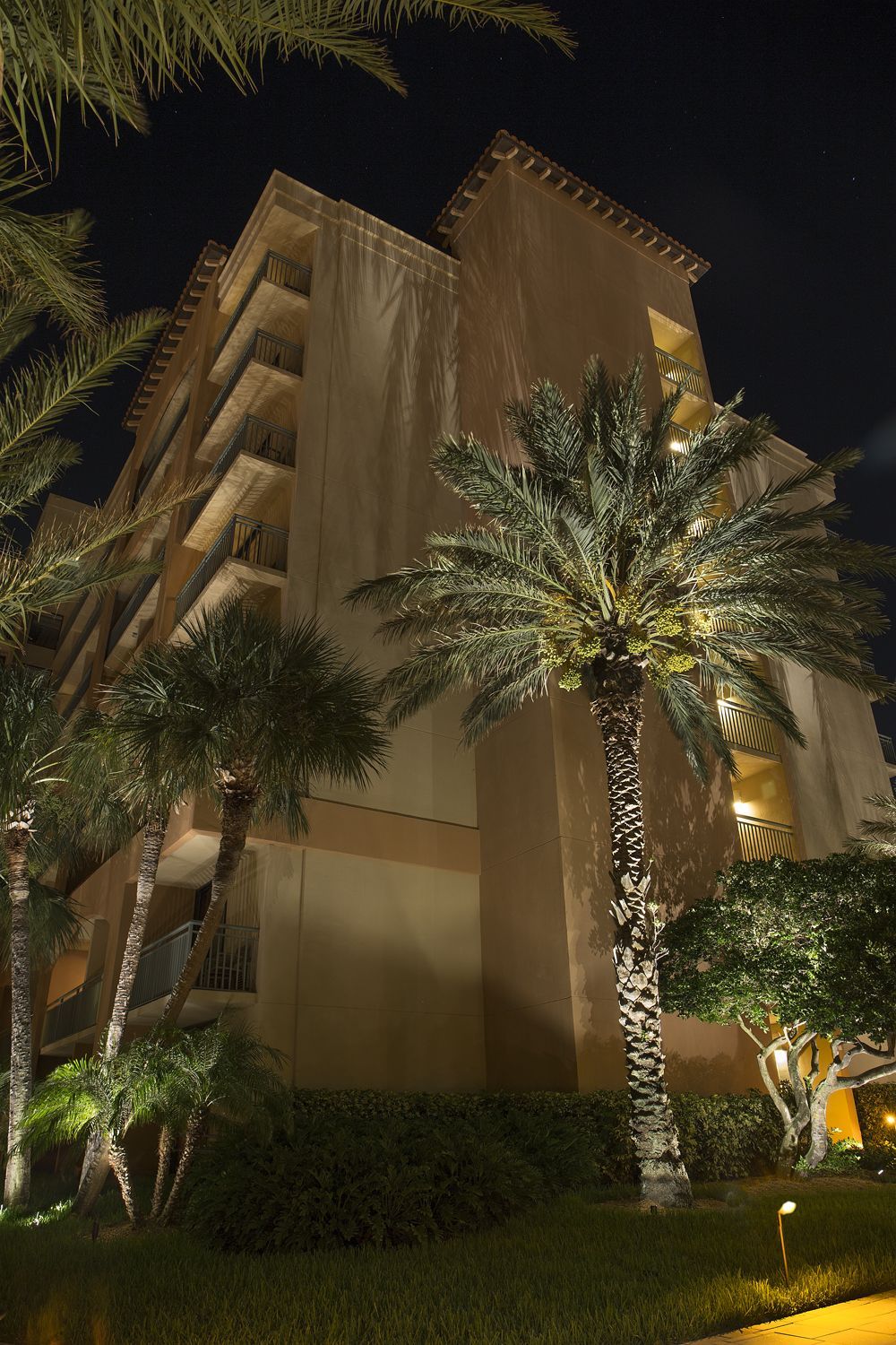 Nighttime view of a tan apartment building framed by palm trees and lit landscaping