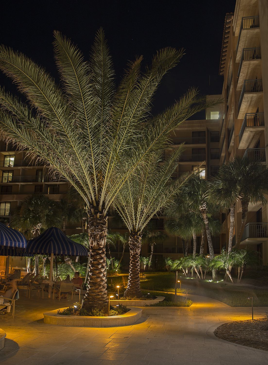 Lit palm trees illuminated in a courtyard at night, with apartment buildings and warm pathway lights.