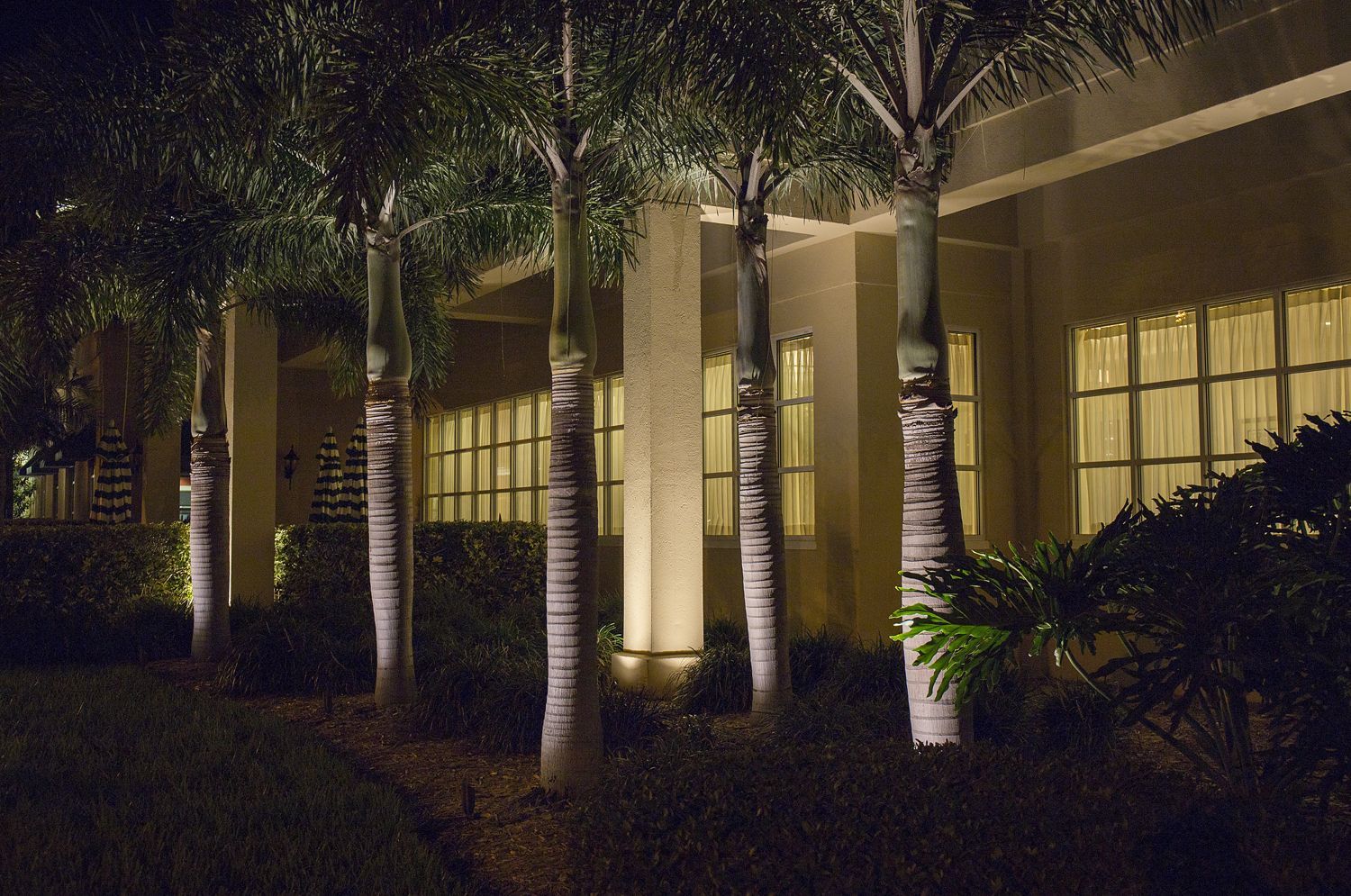 Lit courtyard with palm trees and warm lights shining through windows at night