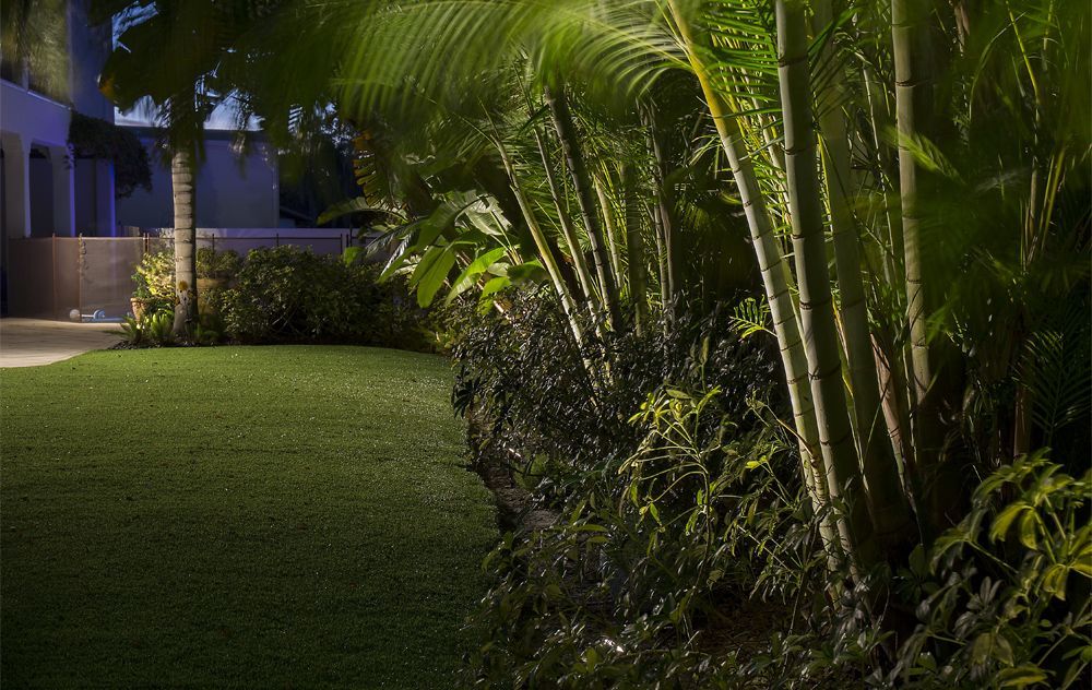 Night-lit tropical garden with palm trees, trimmed lawn, and blue-lit building at left