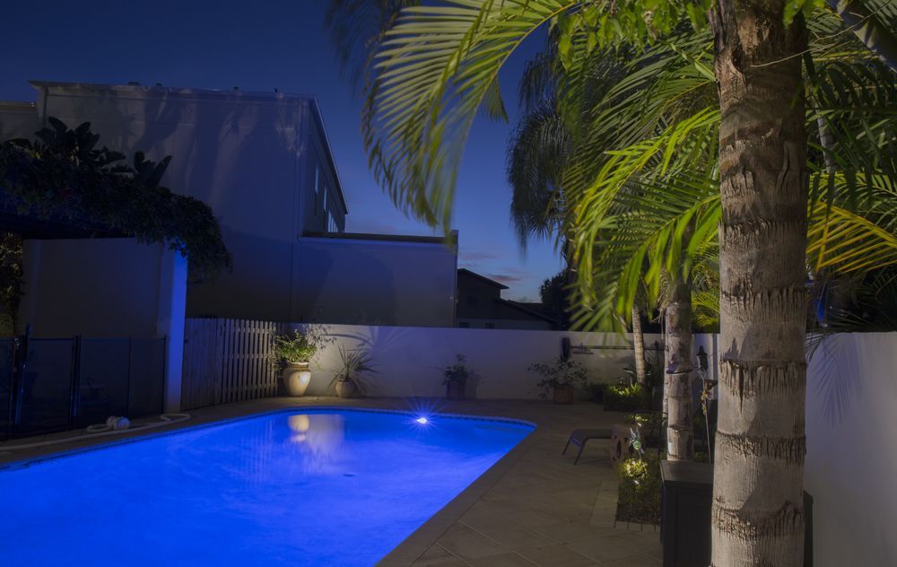 Blue-lit backyard pool at night beside a white wall and palm tree