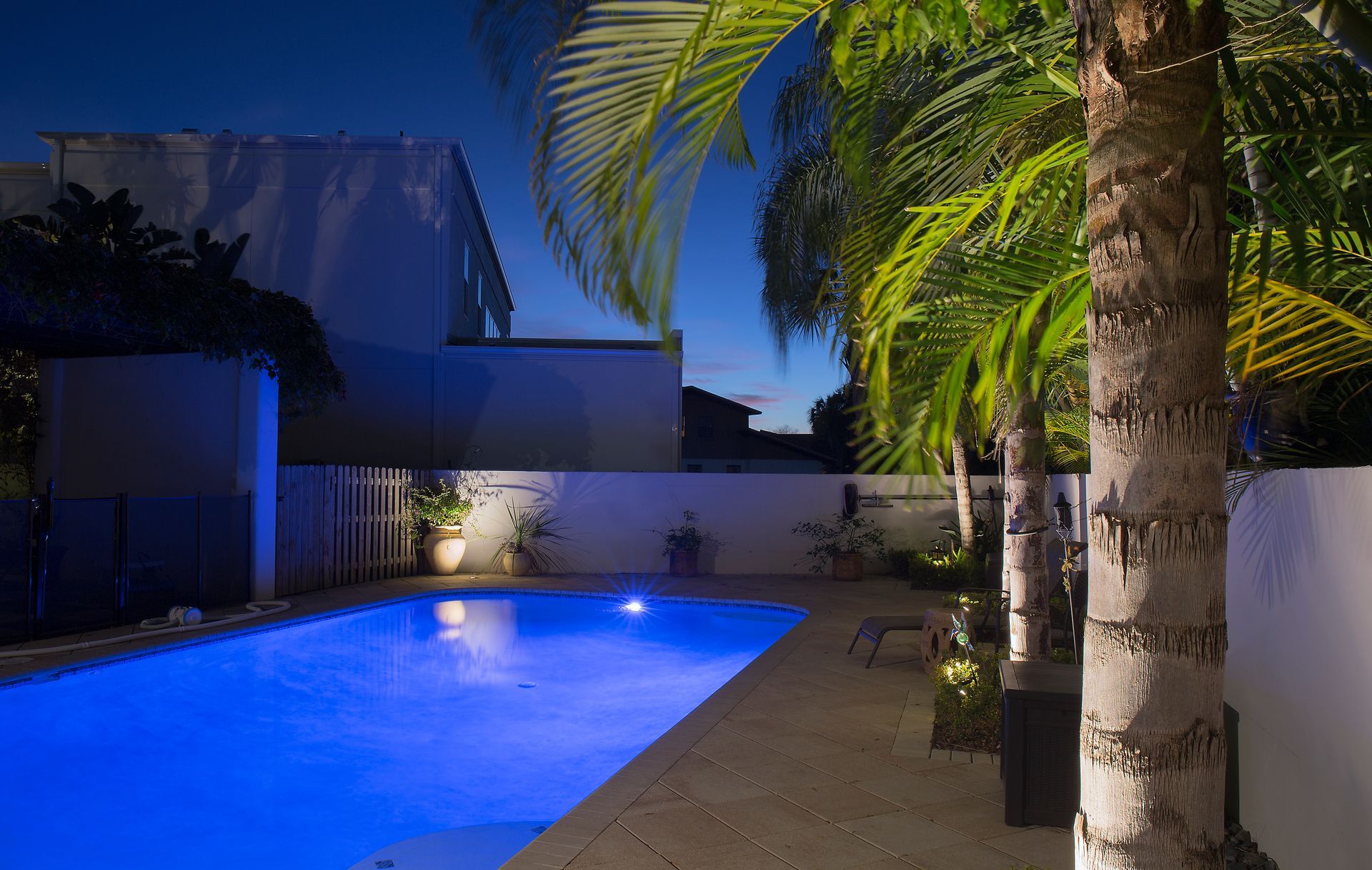 Blue-lit backyard pool beside palm trees and a patio at dusk