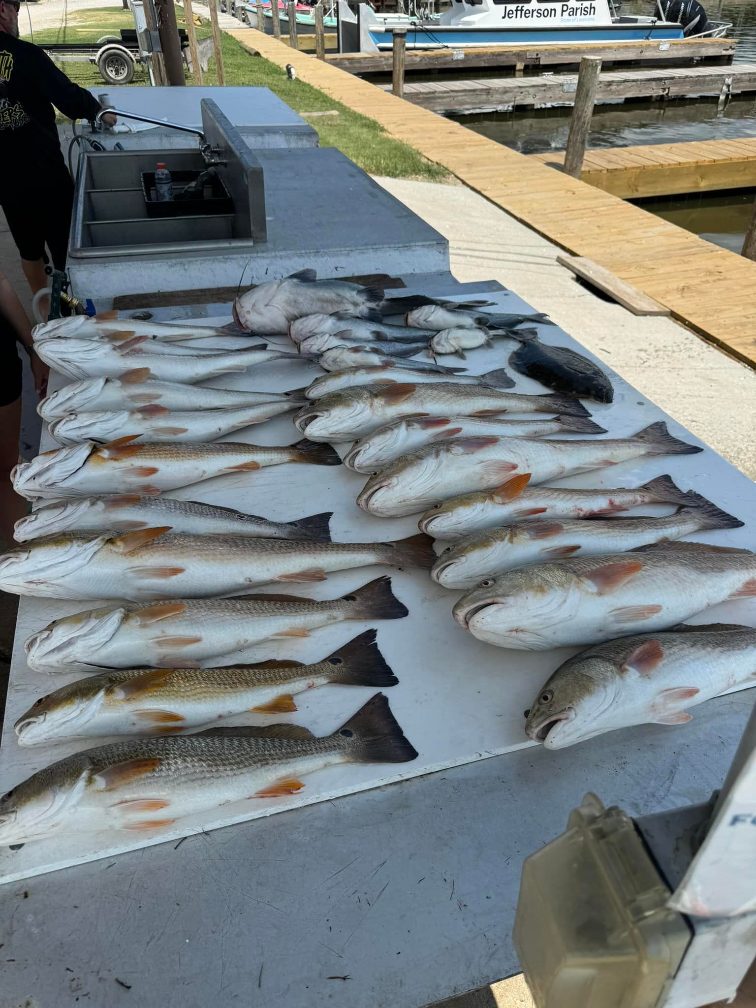 A bunch of fish are sitting on top of a table.
