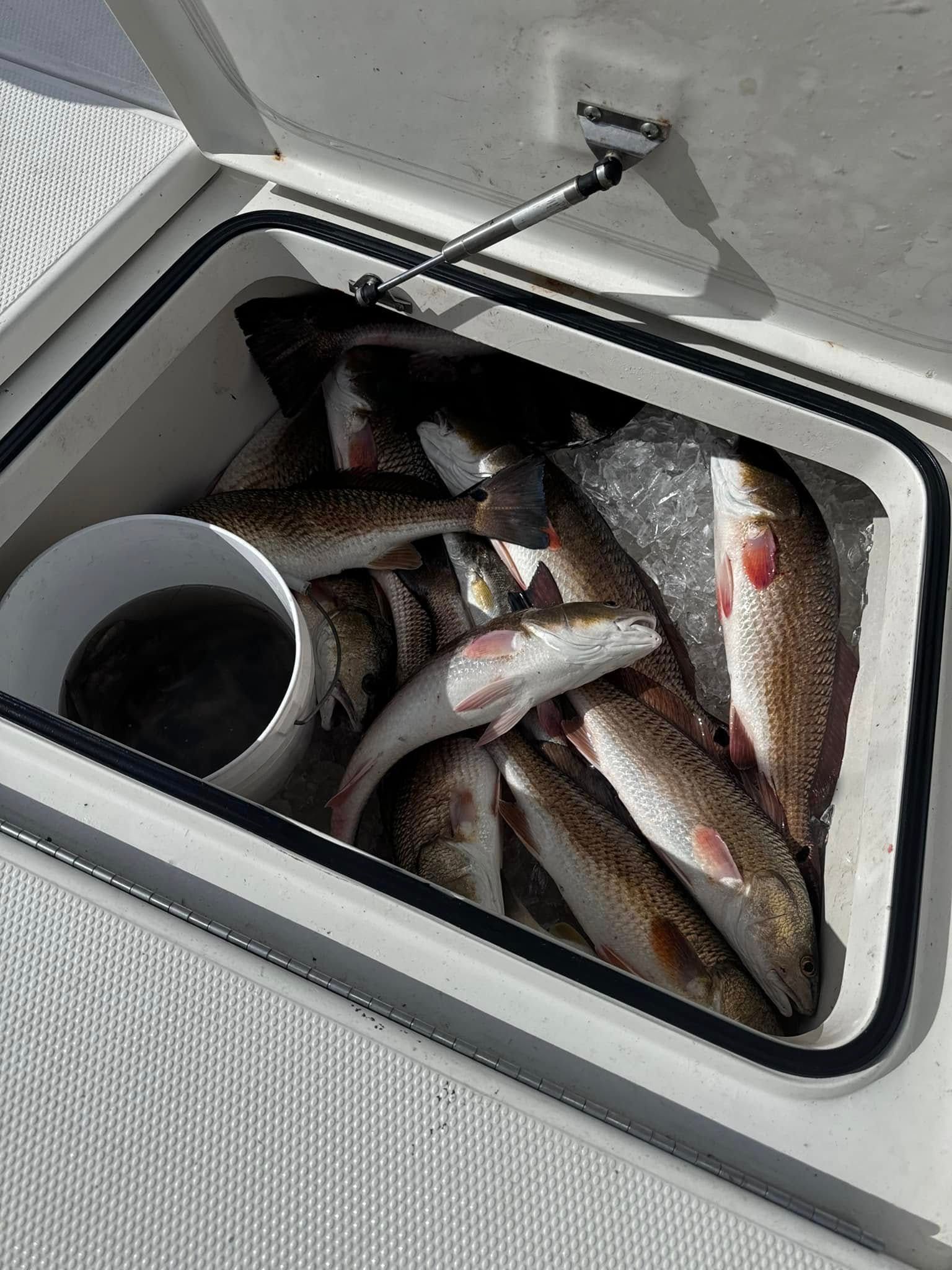 A cooler filled with fish and ice on a boat.