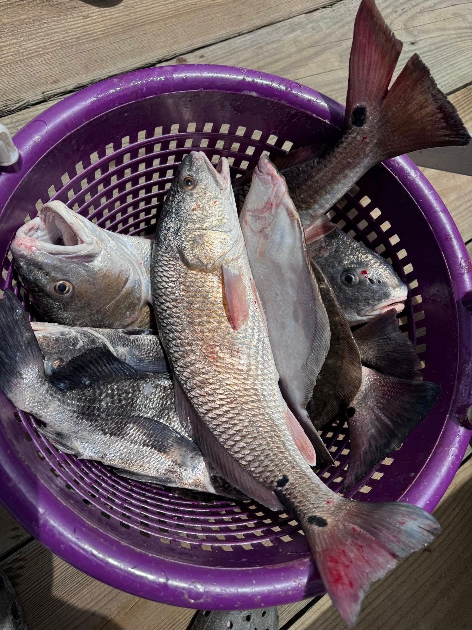 A purple basket filled with fish is sitting on a wooden table.