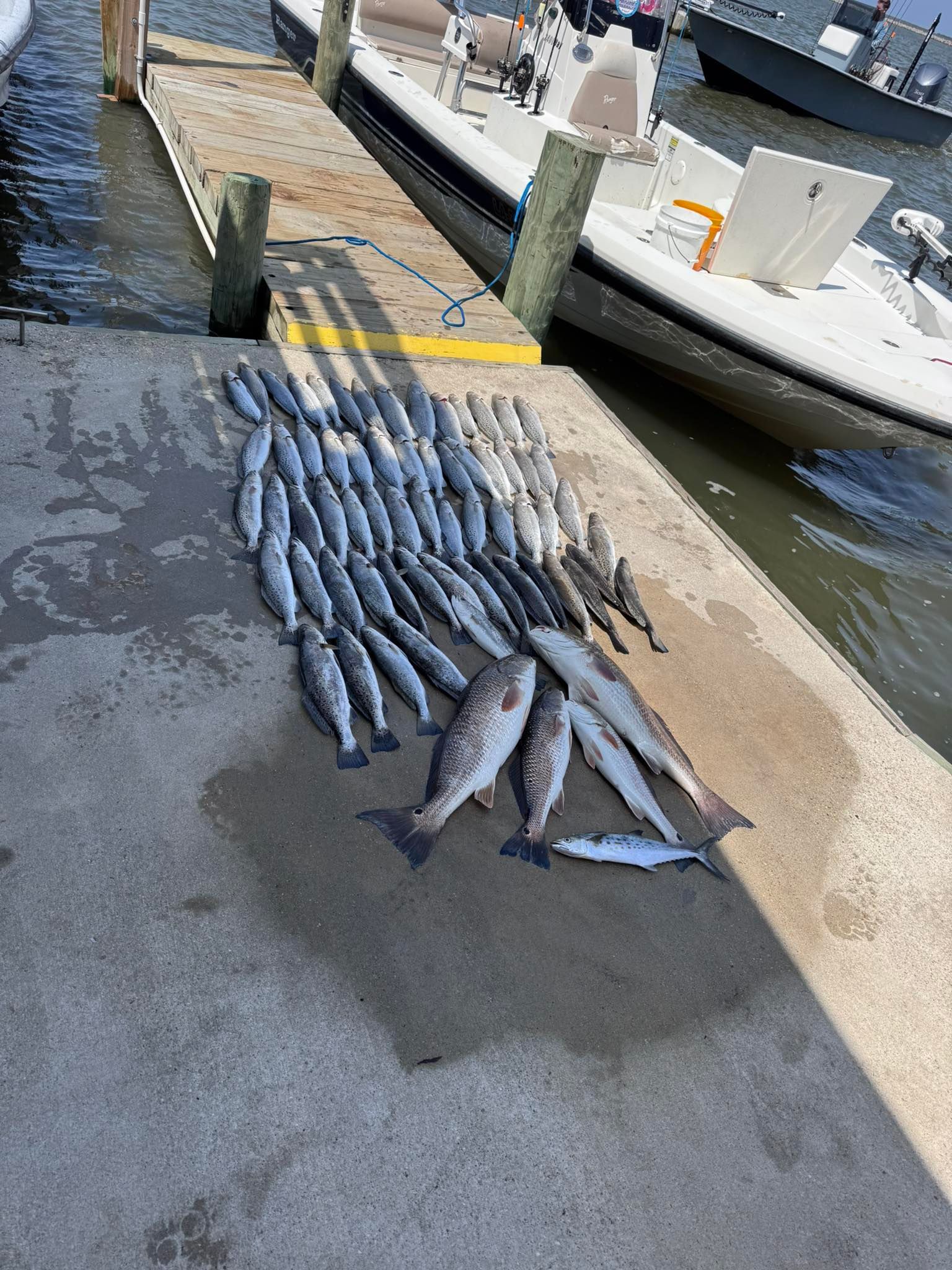 A bunch of fish are sitting on a dock next to a boat.