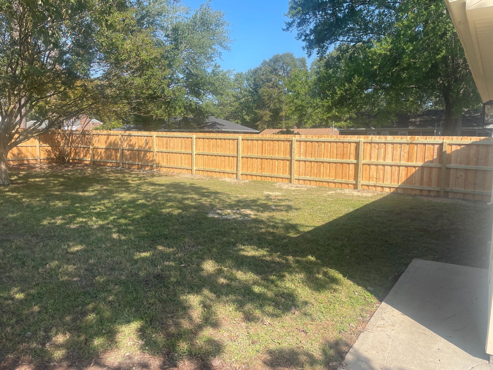 Backyard with a wooden fence, green grass, and trees under a blue sky.