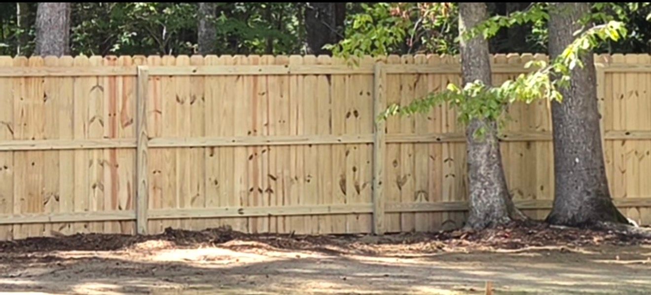 Wooden privacy fence with two trees and leaf-strewn ground in a sunny yard