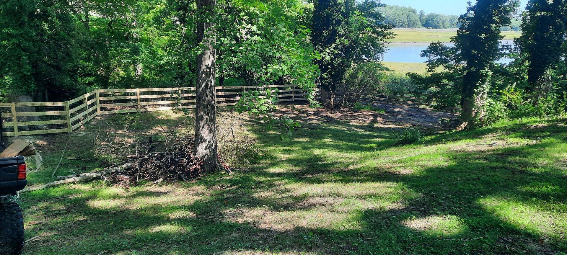 Sunny backyard with trees, grass, wooden fence, and a distant lake view