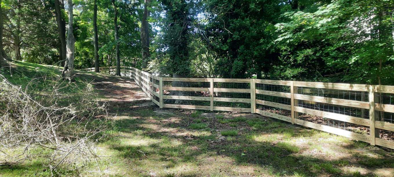 Wooden fence along a wooded trail in a sunny green forest