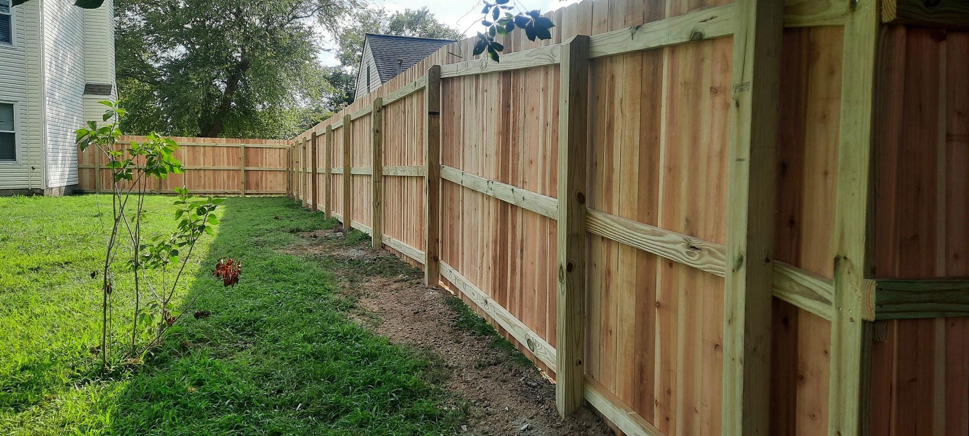 Wooden privacy fence beside a grassy yard with a narrow mulch path, viewed in perspective