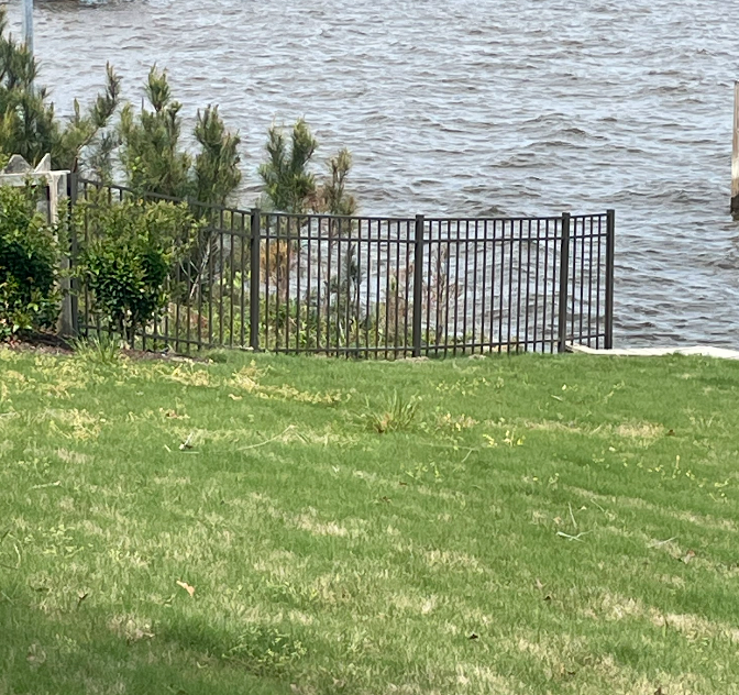 Black metal fence on a grassy bank, with water in the background. Trees and shrubs behind the fence.