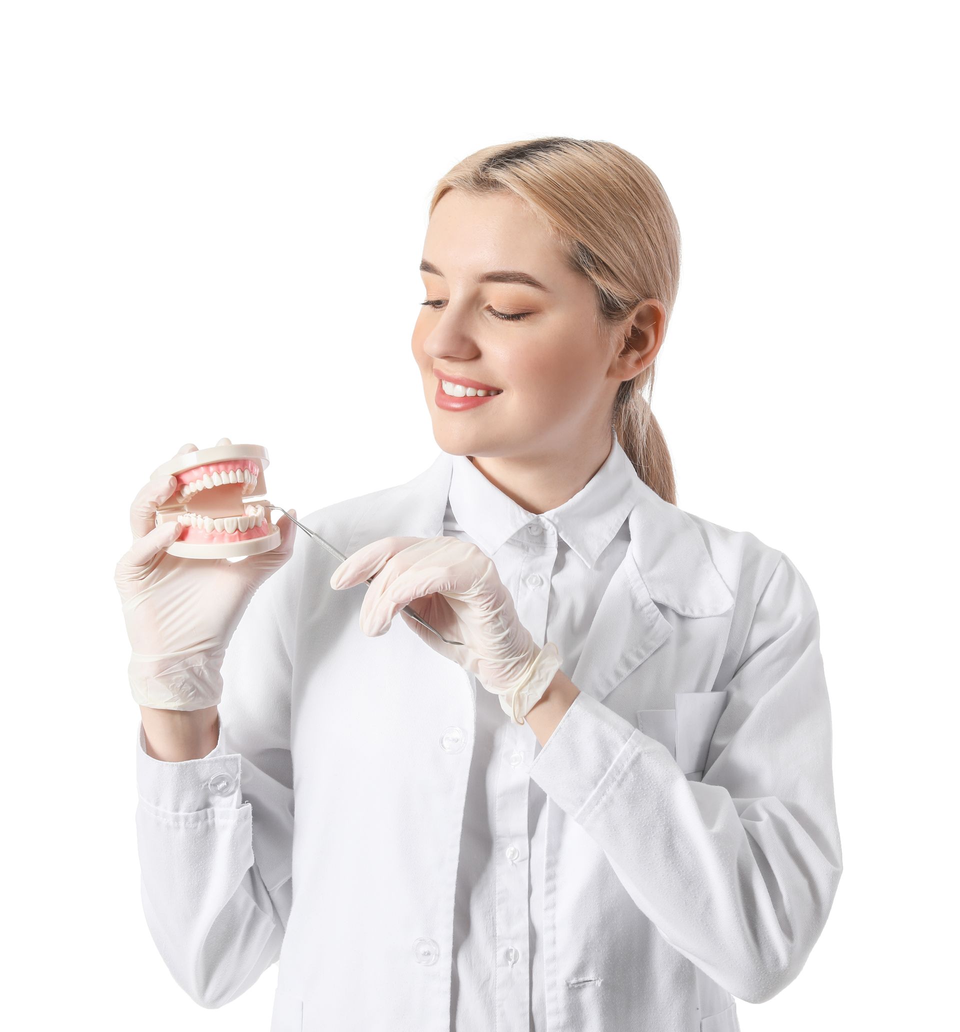 dentista segurando uma boca com dentes