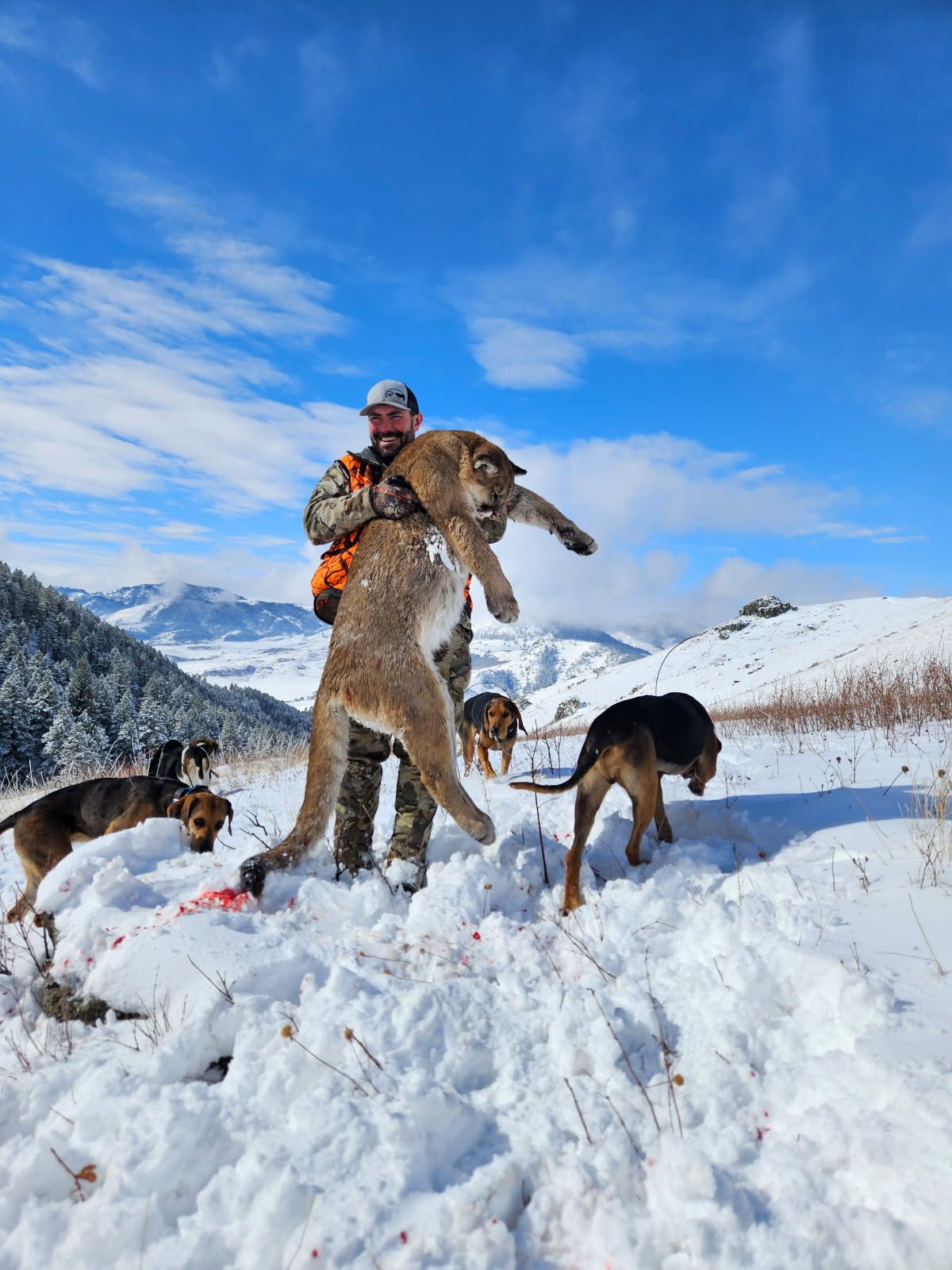 A man is holding a mountain lion in his arms in the snow.