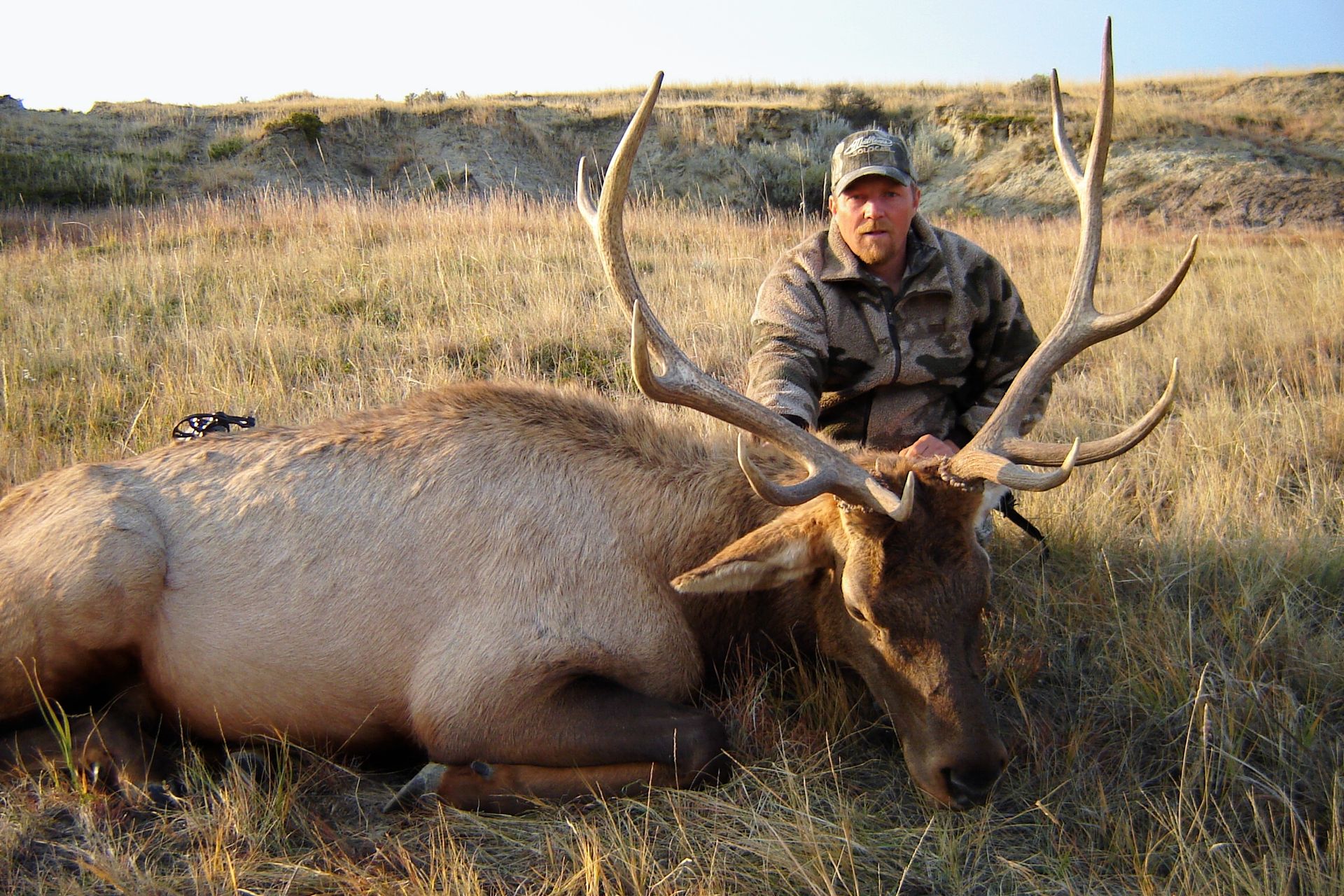 Elk Hunts | Montana Big Game Pursuits | Plains, MT