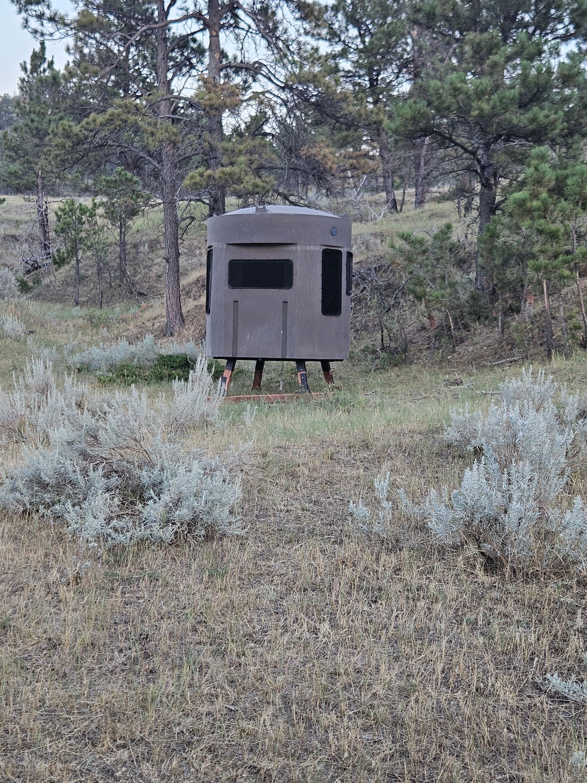 A deer blind is sitting in the middle of a field surrounded by trees.