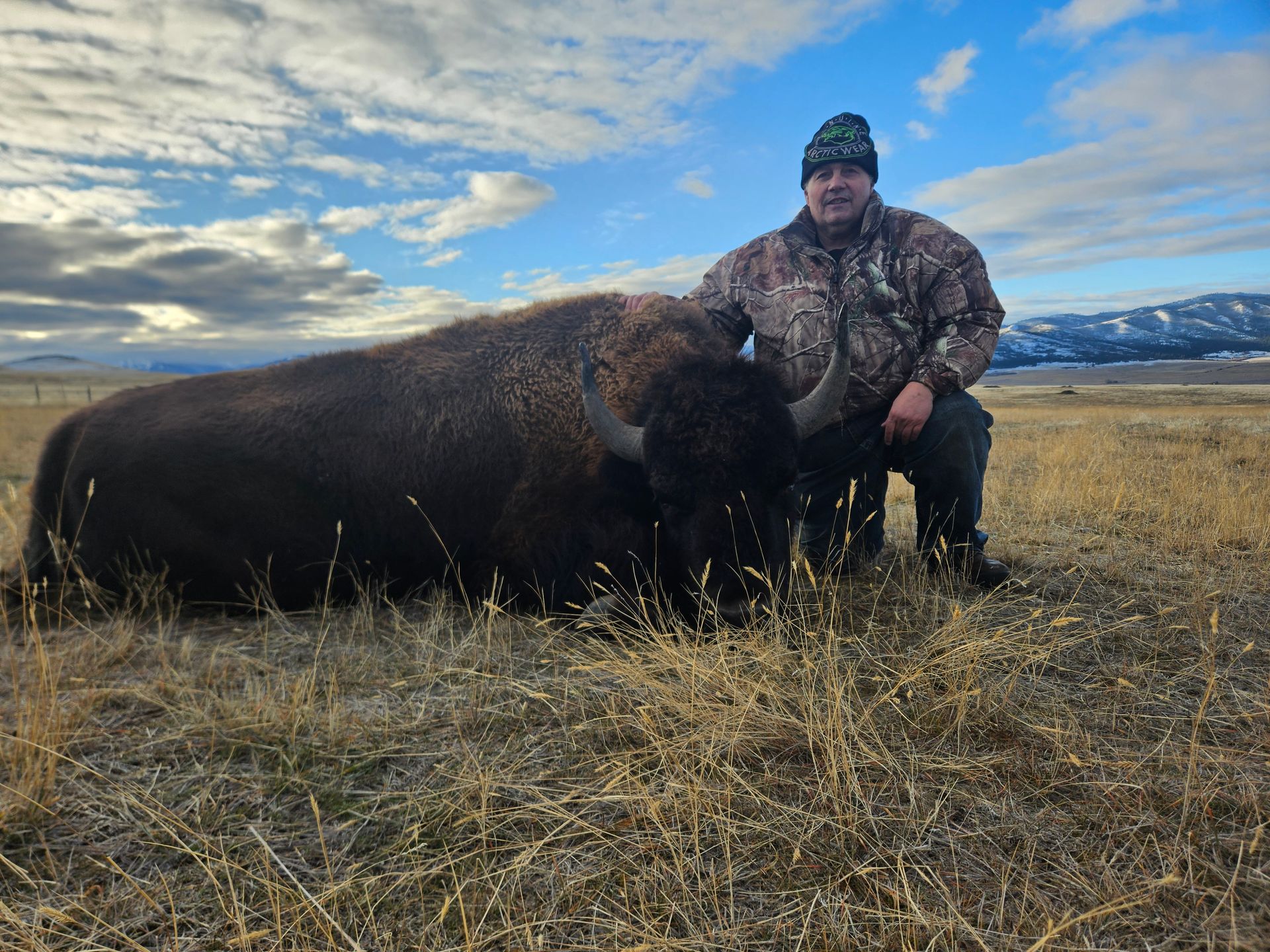A man is kneeling next to a large bison in a field.