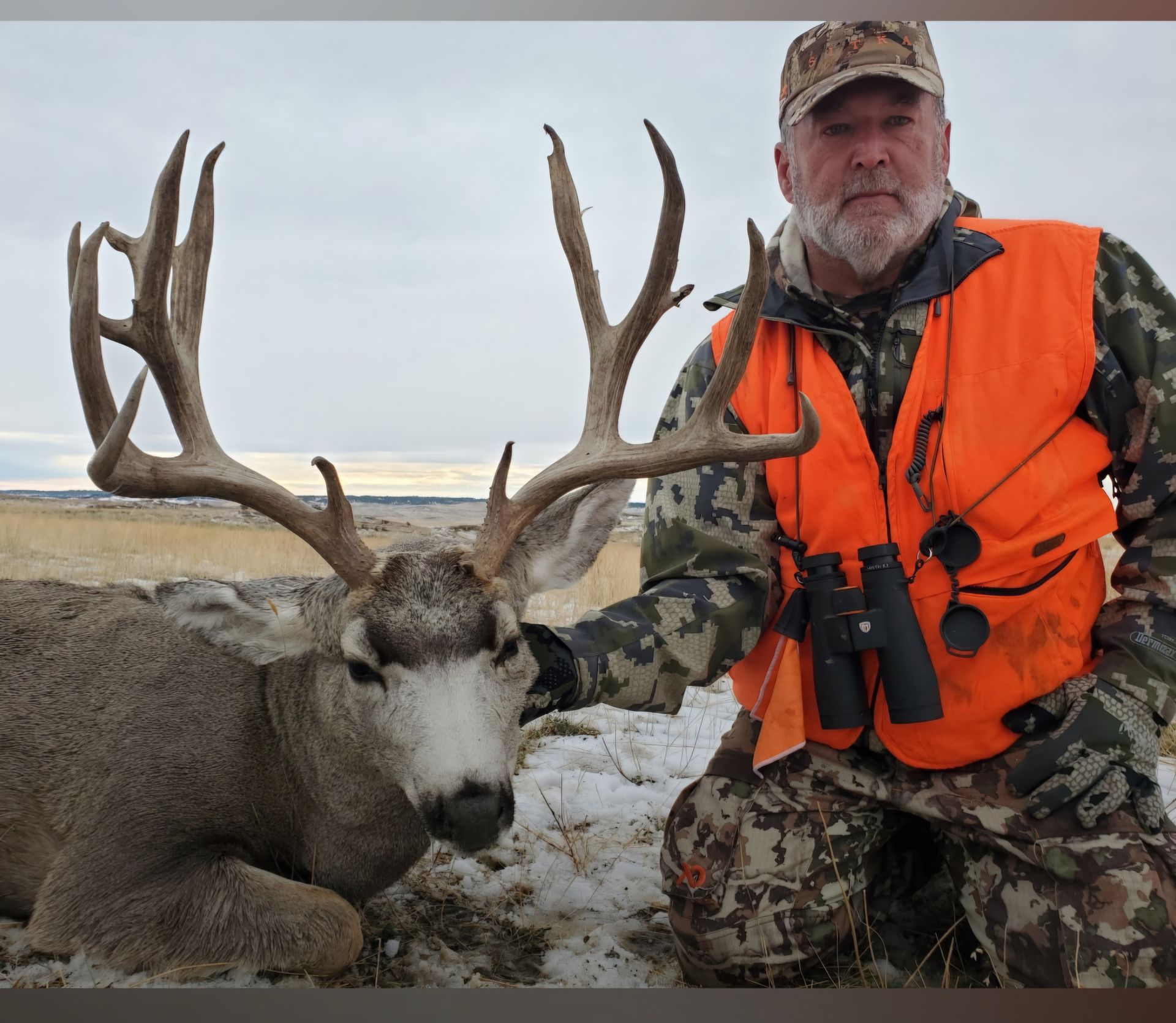 A man in an orange vest kneeling next to a deer