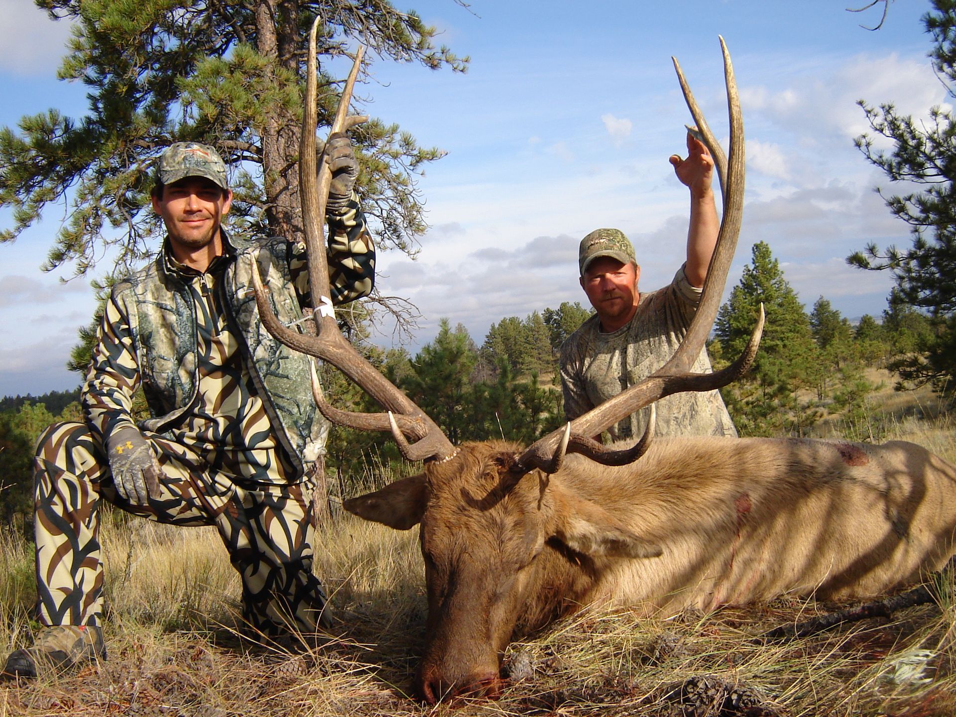 Elk Hunting
