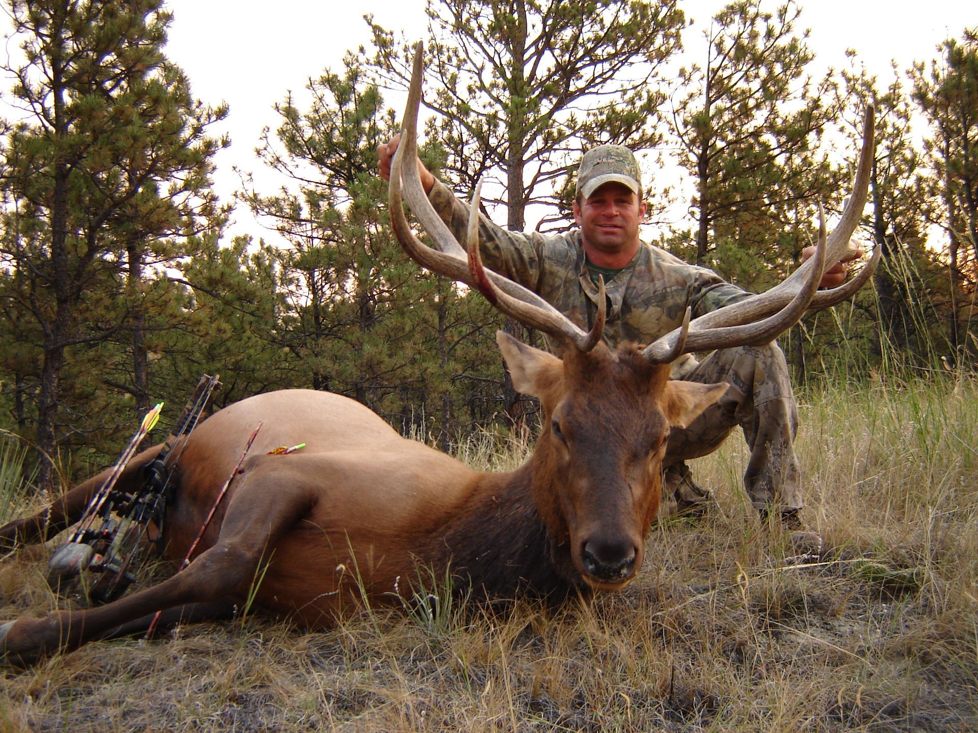 Elk Hunting