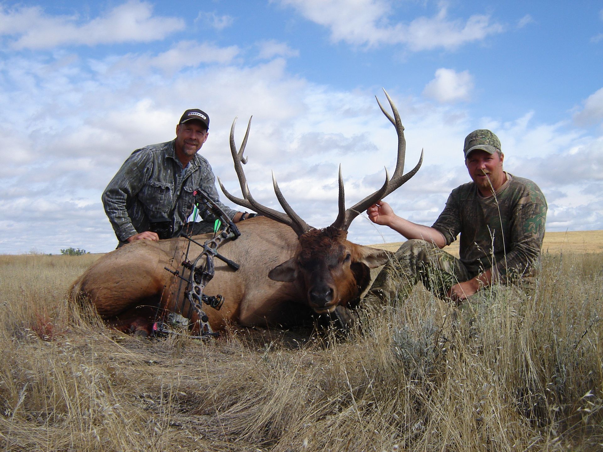 Elk Hunting