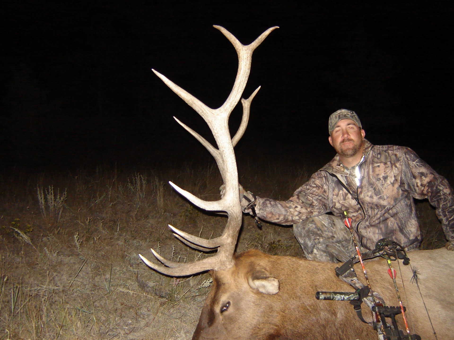 Elk Hunting